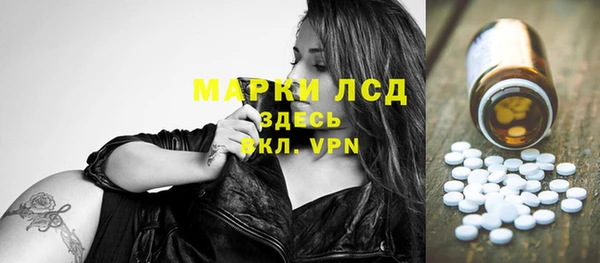 стафф Осинники