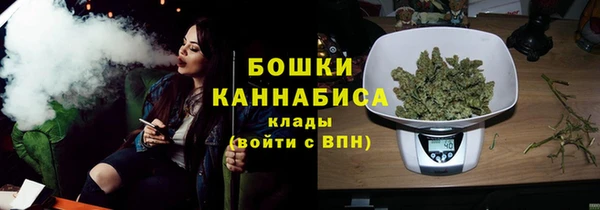 стафф Осинники
