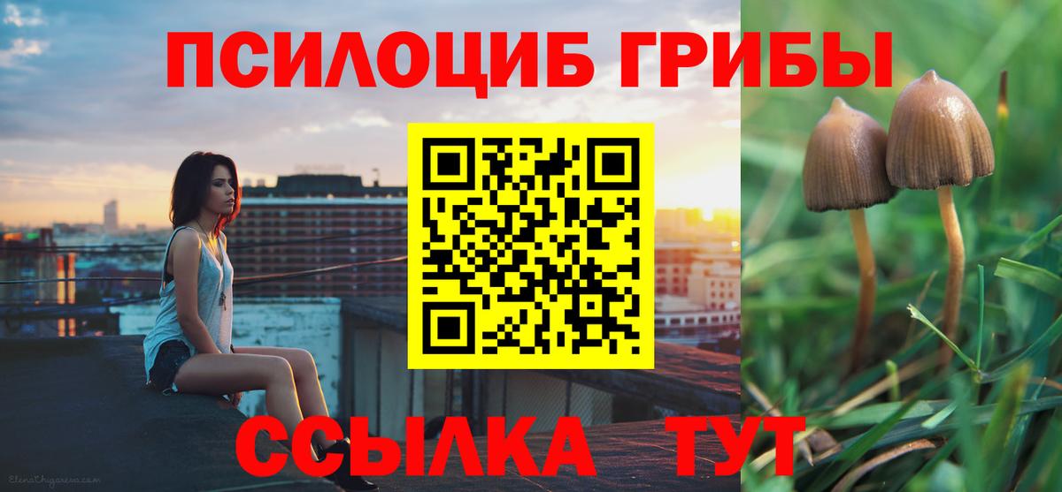Галлюциногенные грибы мицелий  Вход с VPN  Галлюциногенные грибы Psilocybe  дарнет шоп  Рубцовск 