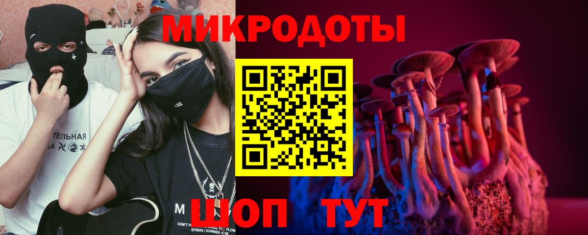 Псилоцибиновые грибы мицелий Рубцовск